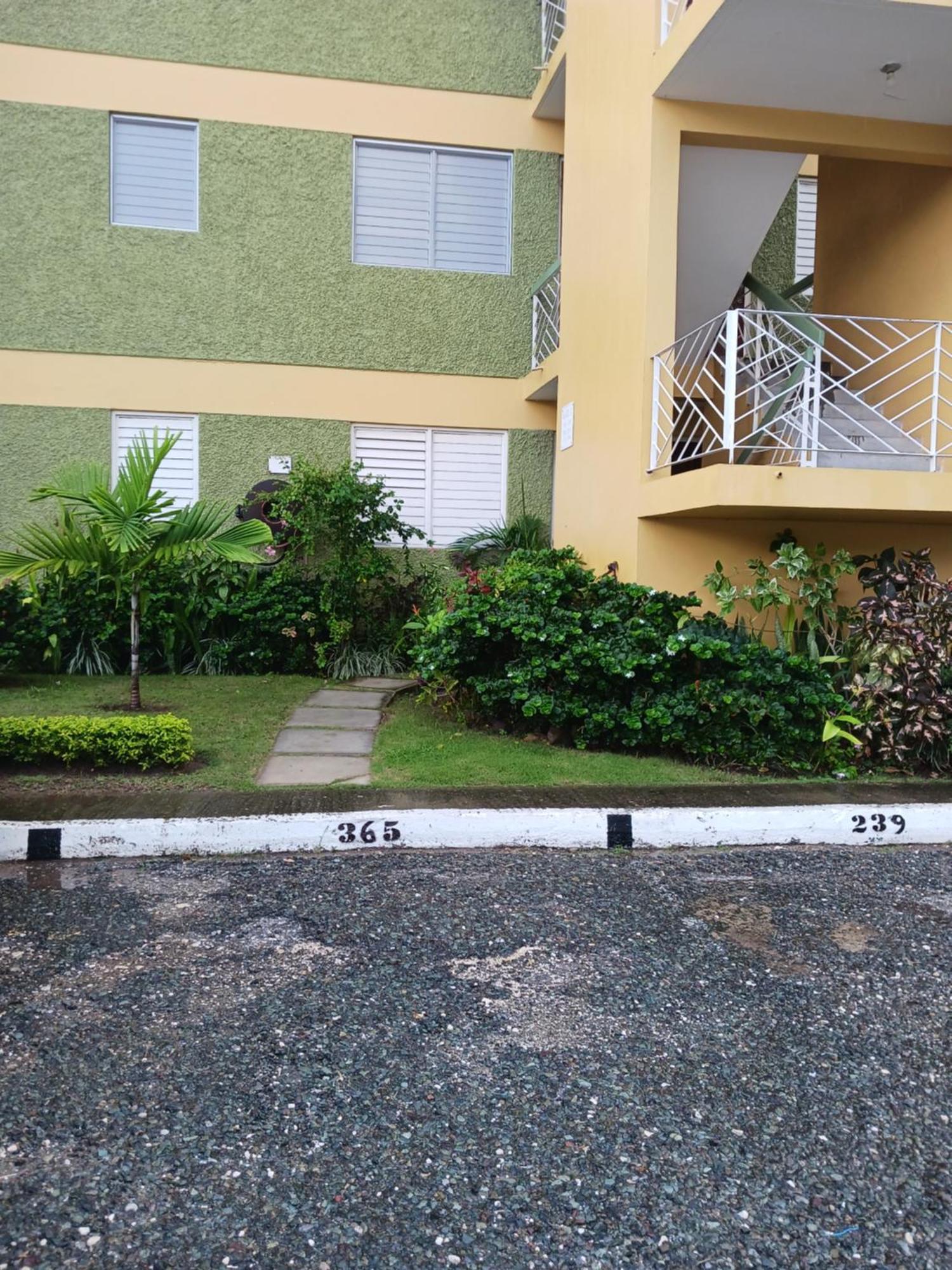 Chelsea Manor Apartment Kingston Exterior photo